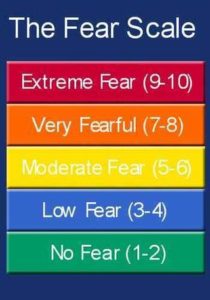 Fear scale