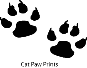 cat paw prints