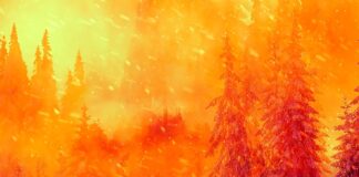 How Dark Spaces: Wildfire Puts Women in the Lead A wildfire engulfs a forest with intense orange and red flames consuming trees as embers fill the smoky air.